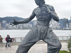 -星光大道