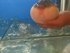 -农家小院(朱雀桥店)