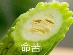 -胖哥俩肉蟹煲(济南世茂国际广场店)