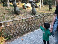 -天目湖山水园