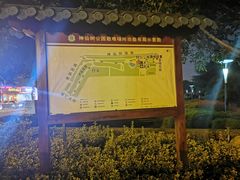 -神仙树公园