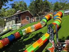 -北京鹿世界主题园