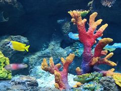 -华夏文旅海洋公园