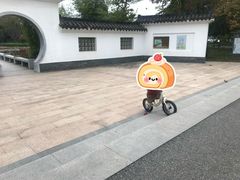 -金银湖国家城市湿地公园