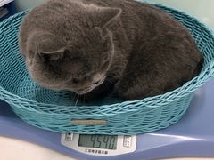 -纳吉亚猫专科动物医院博雅分院