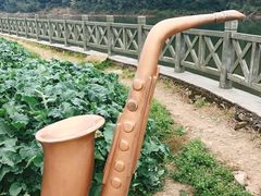 -广州市石门国家森林公园