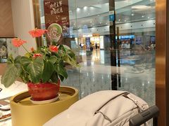 -康师傅私房牛肉面(申虹餐厅店)