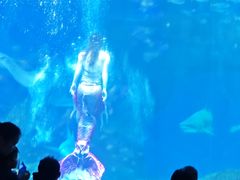 -海合安成都极地海洋公园