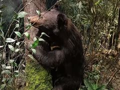 -陕西自然博物馆