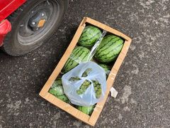 -菜园坝水果市场