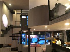 -百好乐宠物友好餐厅(朝外大街店)