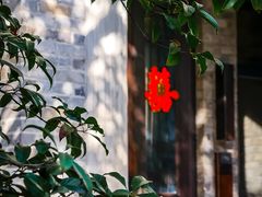 -颐和路民国时期公馆-风貌区