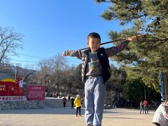 -阳台山自然风景区