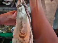 -土蚝·高压锅生蚝(百姓美食街店)