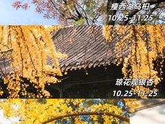 -陈记菜馆·非遗淮扬菜(东关街教场店)