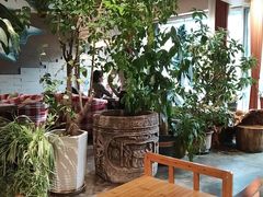 -慢丽江·云南野生菌土鸡锅(付家庄店)