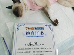 -达爱动物医院·犬猫分区·CT·复杂眼科(远洋山水分院)