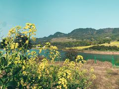 -丰盛镇响水水库