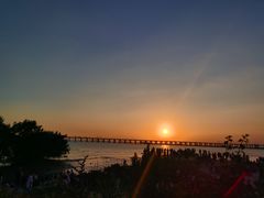 -宝安西湾红树林湿地公园