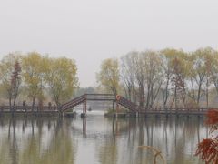 -长兴太湖图影湿地文化园