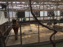 -万源龙顺度假庄园生态观光园