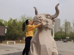 -永定河休闲森林公园