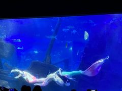 -江和美海洋公园