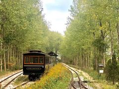 -合肥滨湖国家森林公园