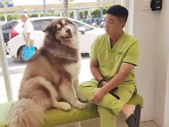 -艾吉宠物医院·疑难杂症转诊中心·猫友好(碧江路院)