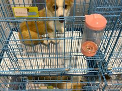 -上海跨国采购会展中心