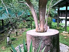 -乌鲁淡布隆国家公园