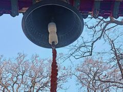 -护国法轮寺