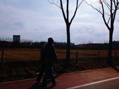 -上海长兴岛郊野公园