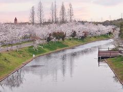 -上海海湾国家森林公园