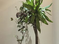 -翁暖茶馆(滨江东总店)