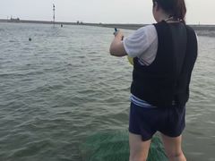 -碧海金沙