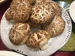 -绿杨春·淮扬宴(庐山路店)