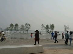 -武清南湖绿博园