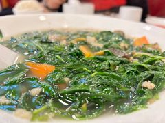 -清新鸡沙田乳鸽店(金融店)