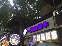 门面-一只酸奶牛(八一路店)