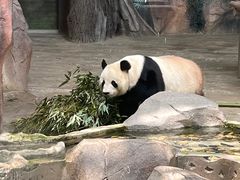 -苏州太湖国家湿地公园