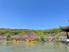 -苏州上方山国家森林公园
