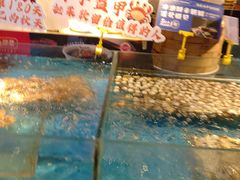 -炉忆家宴(京东店)