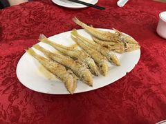 -蛇口康乐快餐鱼仔档(翠苑小区店)