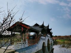 -上海海湾国家森林公园