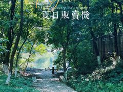 -象山森林公园