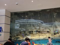 -帝企鹅自助餐厅•儿童岛•真企鹅(长隆企鹅酒店)