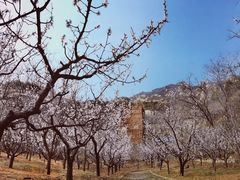 -北京凤凰岭
