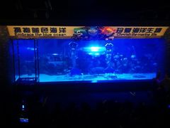 -成都浩海立方海洋公园