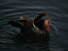 -北海公园